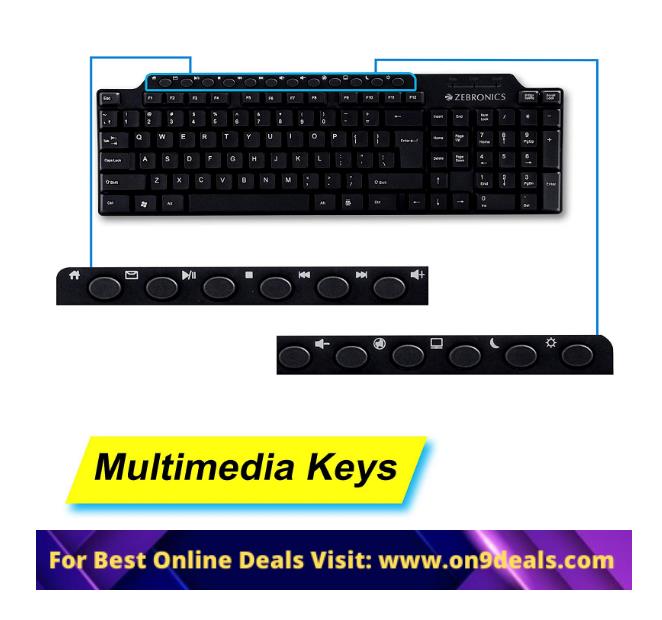 Zebronics Zeb KM2100 Multimedia USB Keyboard